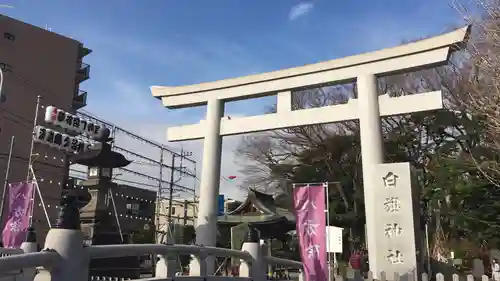 白旗神社の鳥居