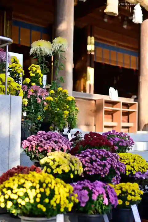 寒川神社の自然