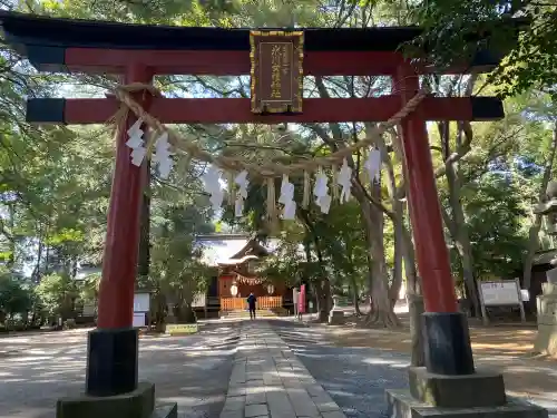 氷川女體神社(埼玉県)