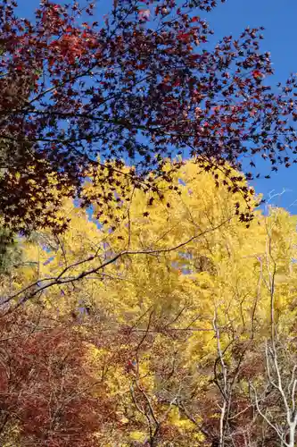 明王院（満願寺別院）の自然