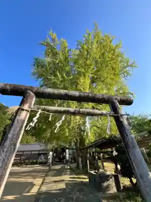 丹生酒殿神社(和歌山県)