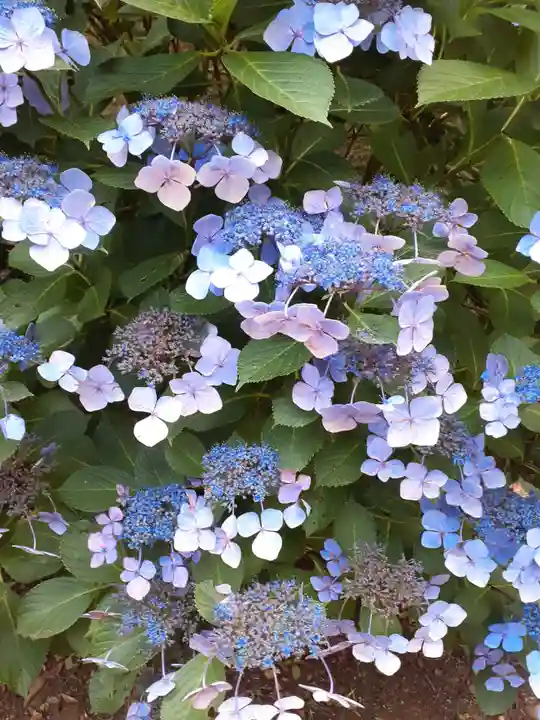 月山神社(岩手県)