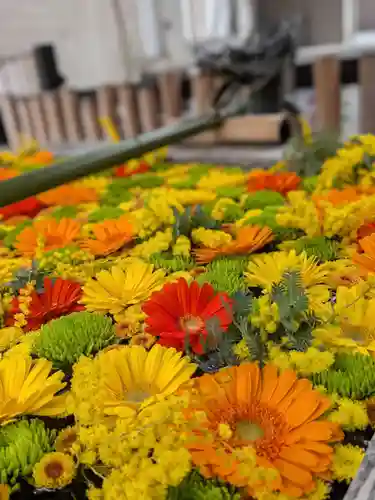 高円寺氷川神社(東京都)