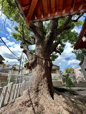 阿保神社(大阪府)