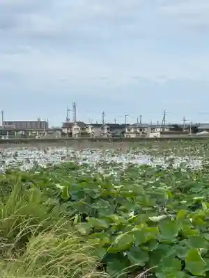 住吉神社(兵庫県)