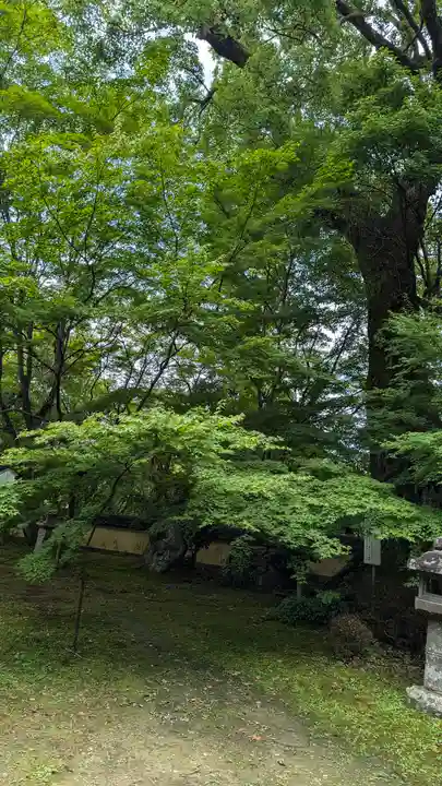 十輪寺(京都府)