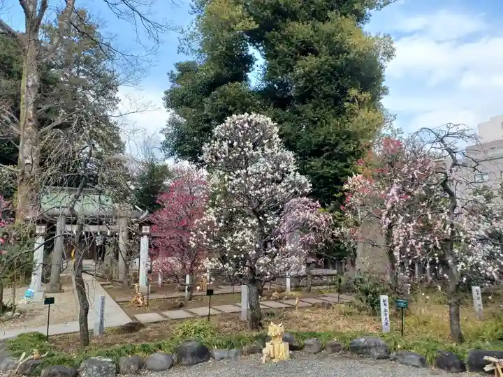 布多天神社の庭園