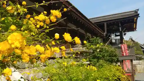 松尾大社のその他建物