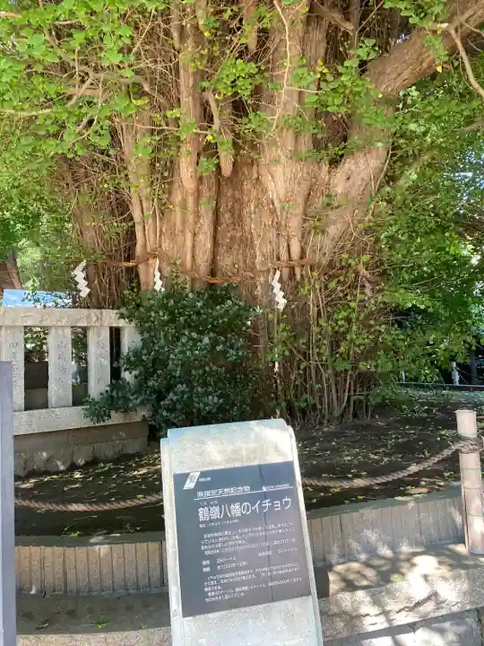 鶴嶺八幡宮(神奈川県)