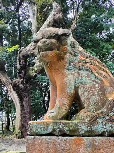 諏訪八幡神社の狛犬