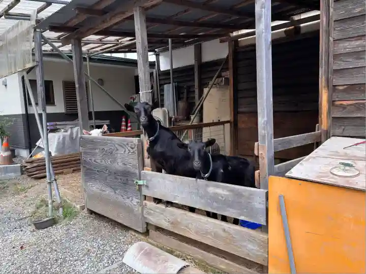熊野那智神社(宮城県)