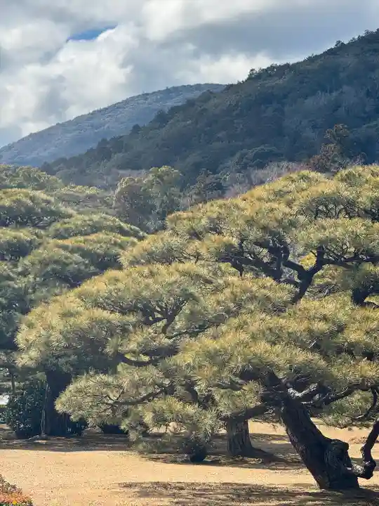 伊勢神宮内宮(皇大神宮)(三重県)