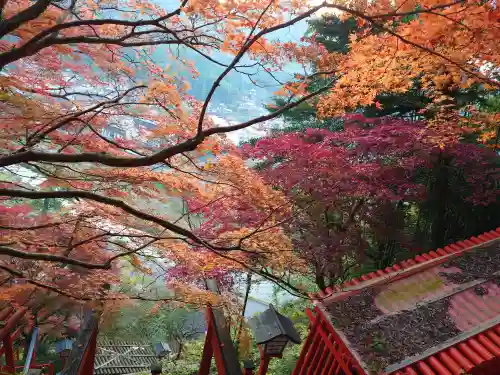 太皷谷稲成神社(島根県)