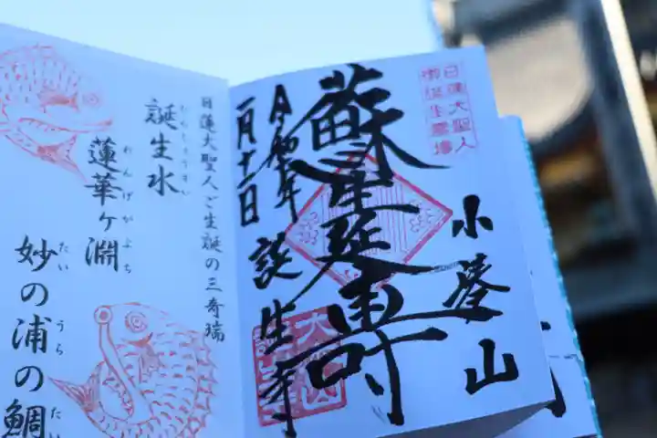 誕生寺の御朱印