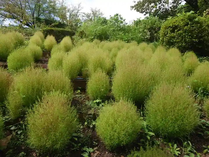 よみうりランド観音(東京都)