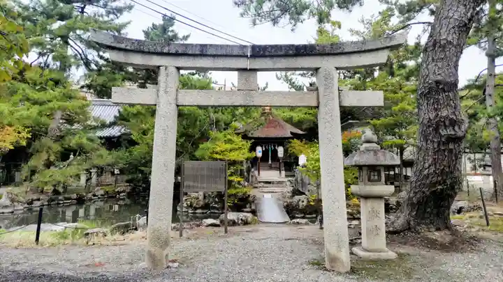 長浜八幡宮(滋賀県)