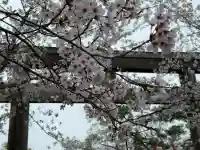 高麗神社の{uncategorized: "未分類", other: "その他", undefined: "問題あり", building: "その他建物", grave: "お墓", sacred_gate: "鳥居", guardian: "狛犬", statue: "像", buddha: "仏像", history: "歴史", nature: "自然", garden: "庭園", animal: "動物", pagoda: "塔", temizu: "手水舎", mountain_gate: "山門・神門", sanctuary: "本殿・本堂", subordinate: "末社・摂社", art: "芸術", scenery: "景色", jizo: "地蔵", ema: "絵馬", goshuin: "御朱印", omikuji: "おみくじ", items: "授与品その他", amulet: "お守り", goshuincho: "御朱印帳", eats: "食事", festival: "お祭り", votive_dance: "神楽", shichigosan: "七五三参", wedding: "結婚式", experience: "体験その他", initially: "初詣", around: "周辺", anti_infection: "感染症対策"}