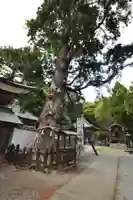 極楽寺の自然
