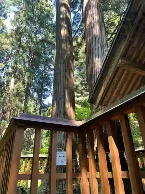 黄金山神社(宮城県)