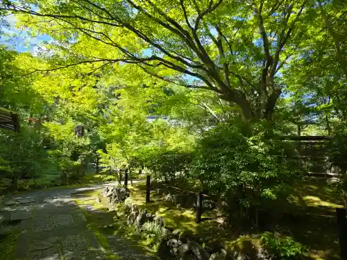 法寳閣檀林寺(京都府)