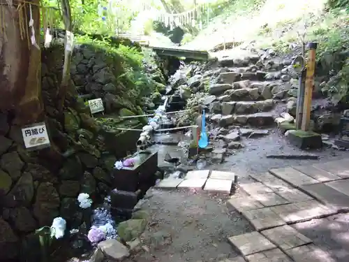 太平山神社の自然