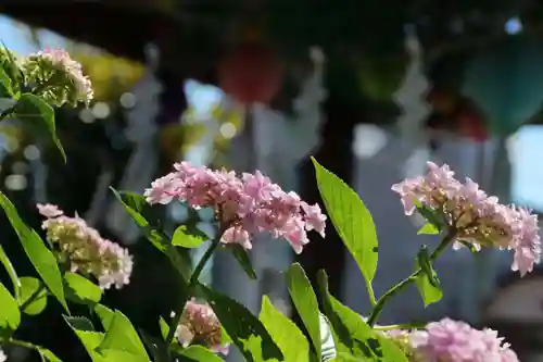 豊景神社の手水