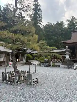 小國神社(静岡県)