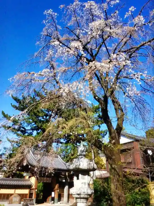 玄国寺(東京都)