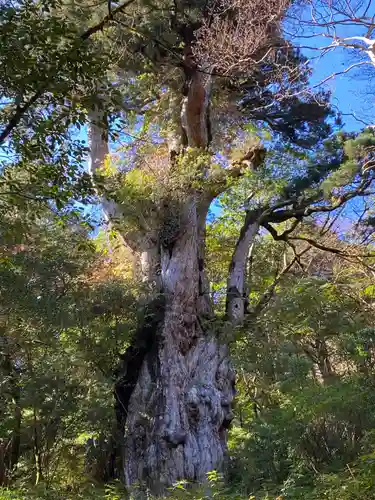 木魂神社(鹿児島県)