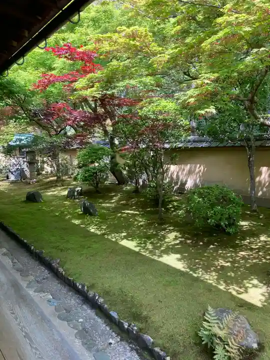 興臨院(京都府)