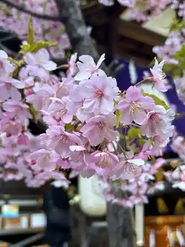 東京大神宮(東京都)