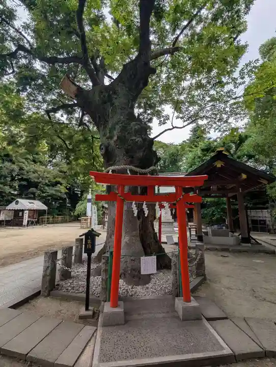 新田神社(東京都)