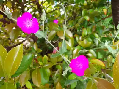 阿邪訶根神社(福島県)