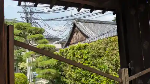 海蔵院(京都府)