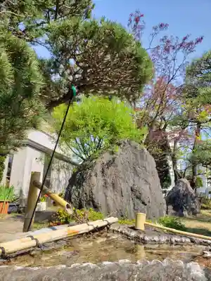 東光寺(東京都)