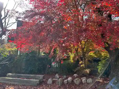 木舟山　順教寺(広島県)