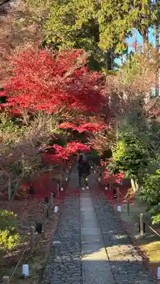 鹿王院(京都府)