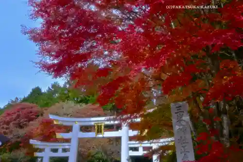 三峯神社(埼玉県)