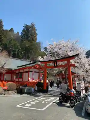 金櫻神社(山梨県)