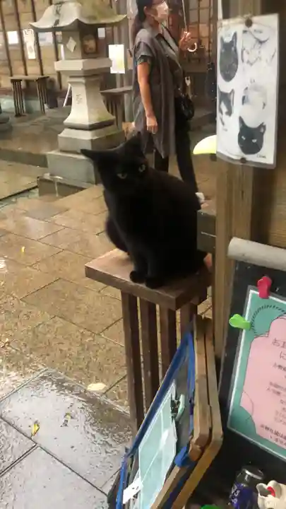 王子神社の動物