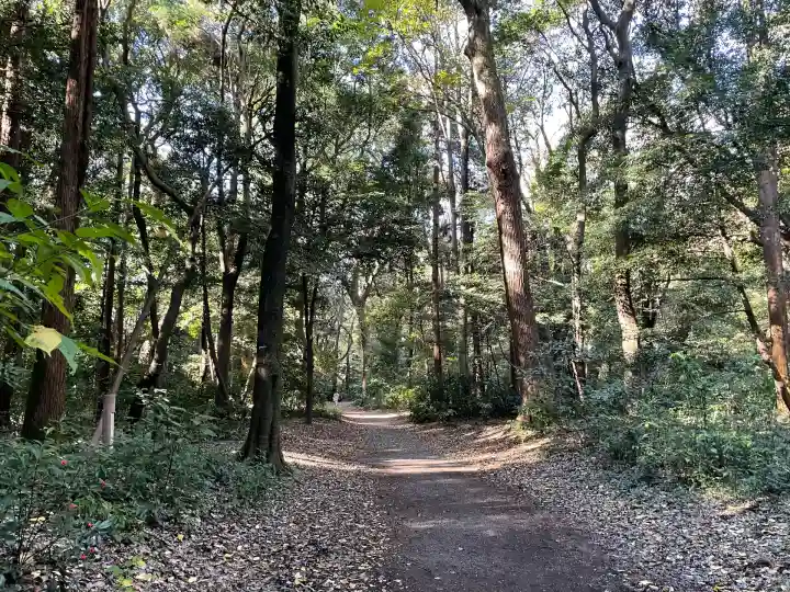 明治神宮(東京都)