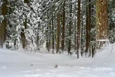 八海神社(新潟県)
