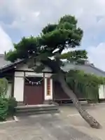 栗原氷川神社(東京都)
