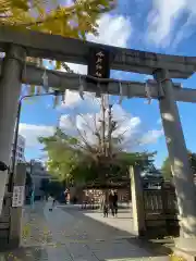 今戸神社の鳥居