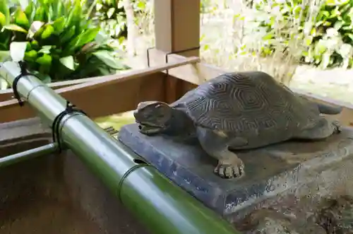 江島神社の狛犬