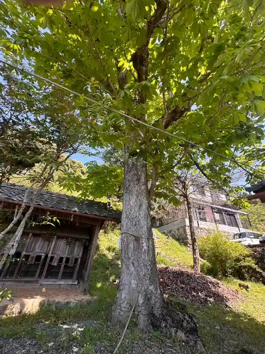 日吉神社(京都府)