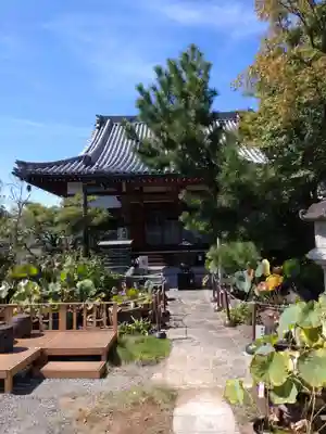 大蓮寺(京都府)