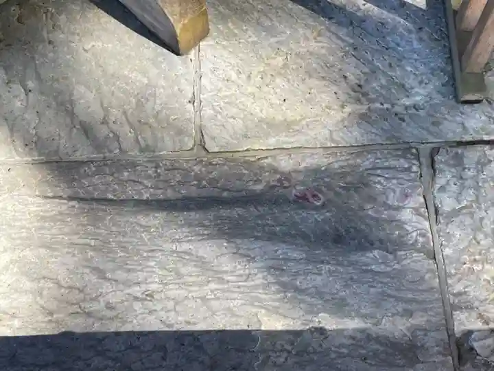 三峯神社(埼玉県)