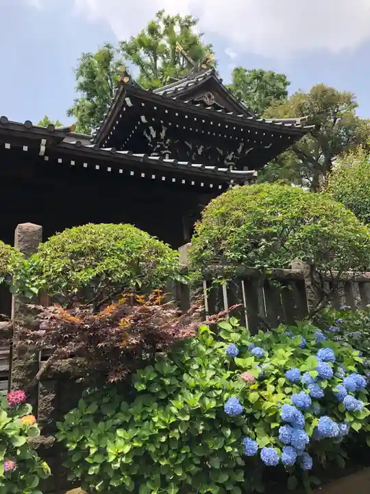 白山神社の本殿・本堂