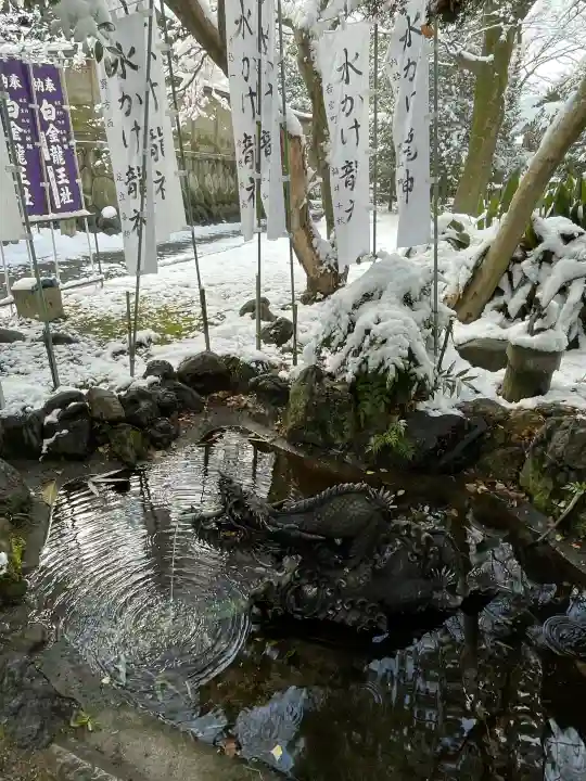 白金龍王社の{uncategorized: "未分類", other: "その他", undefined: "問題あり", building: "その他建物", grave: "お墓", sacred_gate: "鳥居", guardian: "狛犬", statue: "像", buddha: "仏像", history: "歴史", nature: "自然", garden: "庭園", animal: "動物", pagoda: "塔", temizu: "手水舎", mountain_gate: "山門・神門", sanctuary: "本殿・本堂", subordinate: "末社・摂社", art: "芸術", scenery: "景色", jizo: "地蔵", ema: "絵馬", goshuin: "御朱印", omikuji: "おみくじ", items: "授与品その他", amulet: "お守り", goshuincho: "御朱印帳", eats: "食事", festival: "お祭り", votive_dance: "神楽", shichigosan: "七五三参", wedding: "結婚式", experience: "体験その他", initially: "初詣", around: "周辺", anti_infection: "感染症対策"}